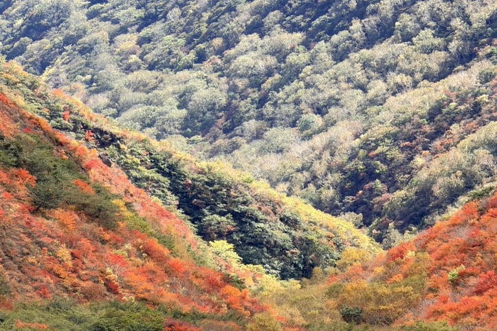 97a2a73b-52de-4301-8c4e-fa4647ffd116