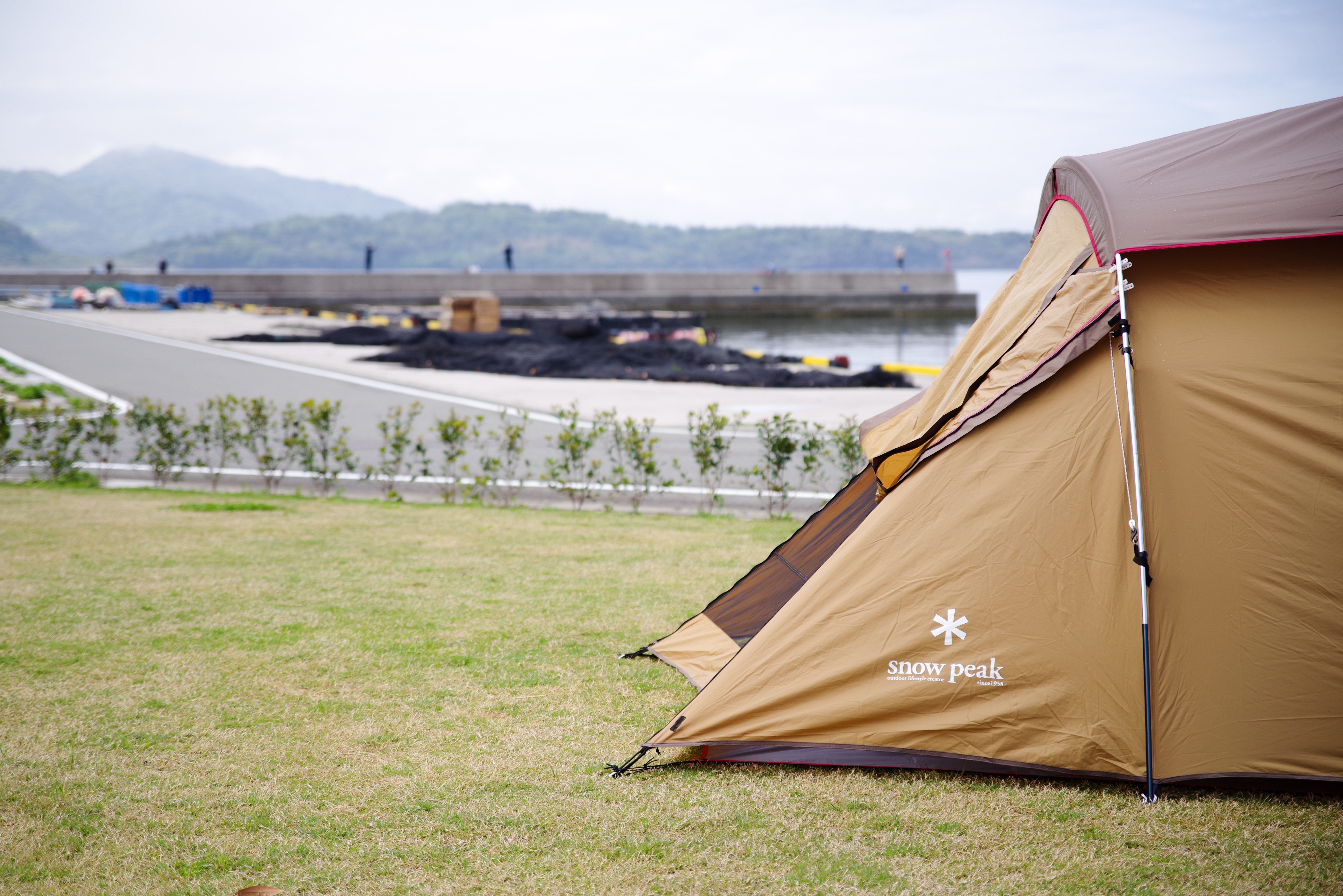 税込新品 最終値下REI co-op Flash Air1 tent ul軽量テント