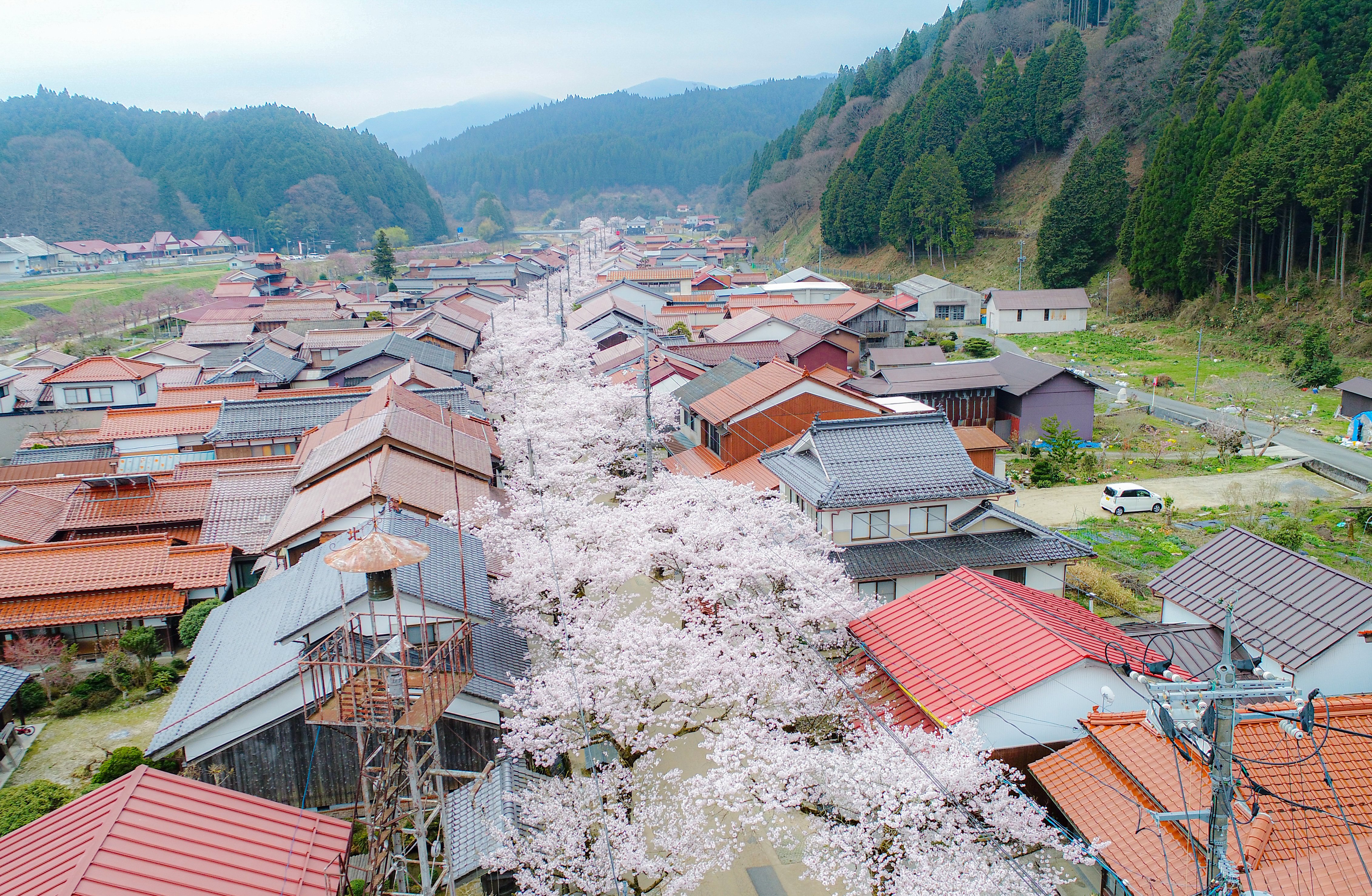 DJI_0013-2