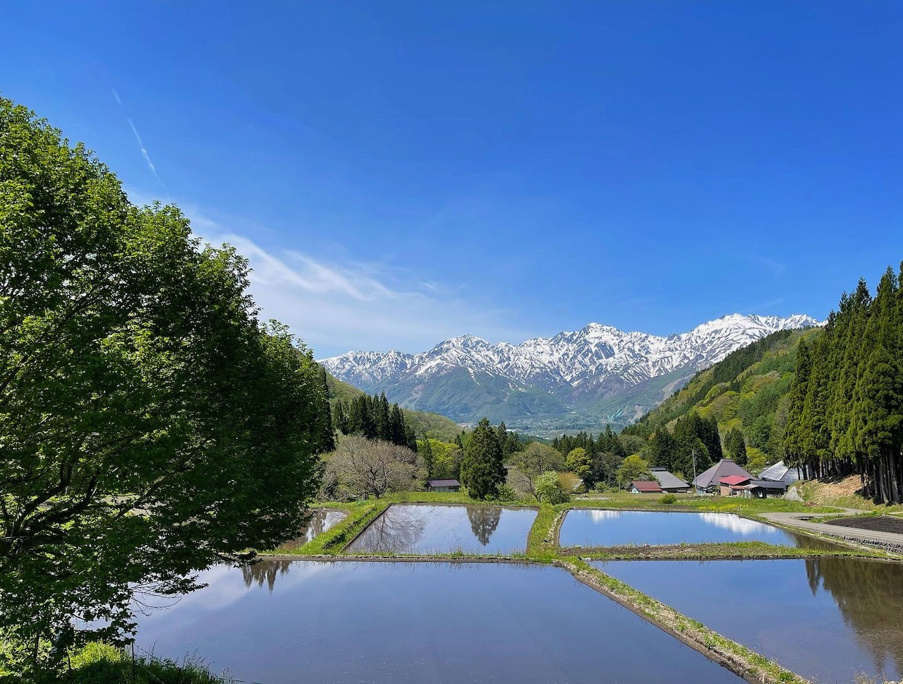 hakuba_青鬼の棚田