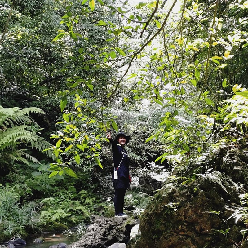 山歩き