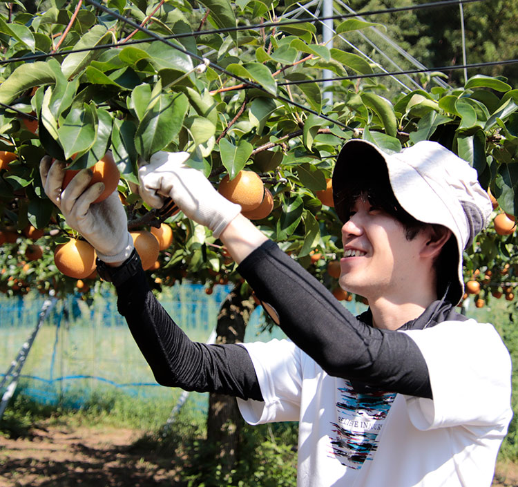 小峠さんの人生を大きく変えた加賀の梨